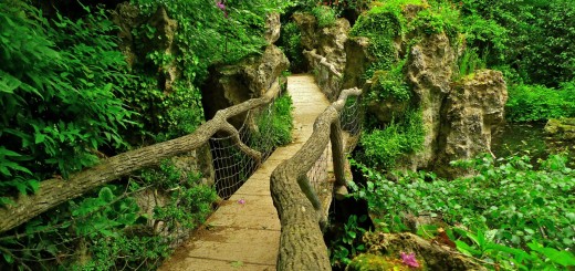 albert-kahn-japanese-gardens