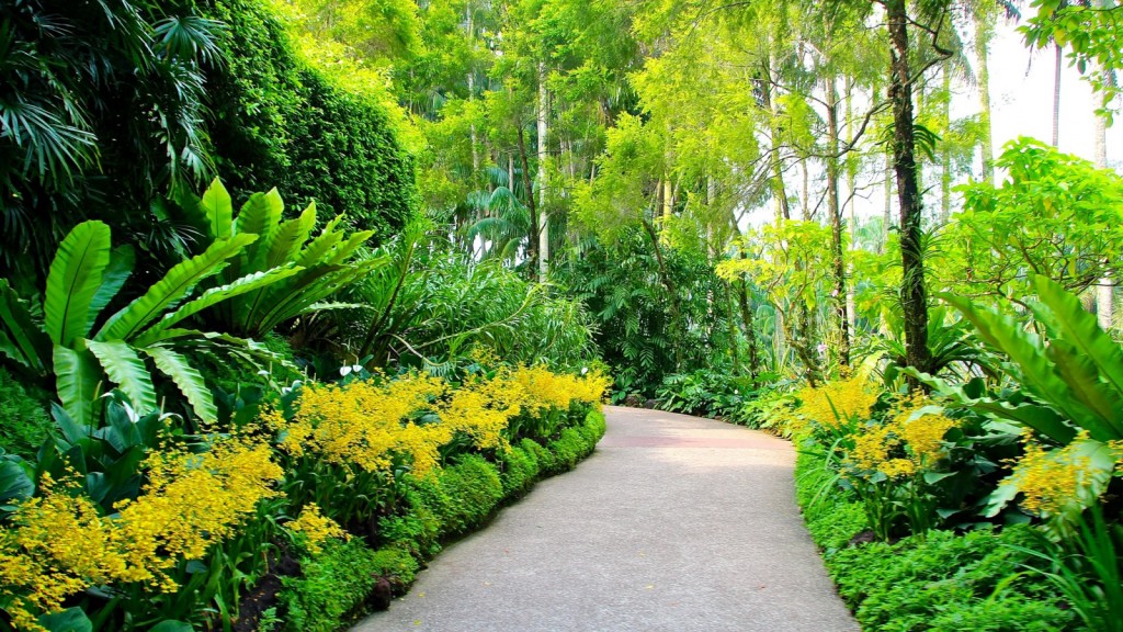 singapur-botanic-gardens-sad-4194