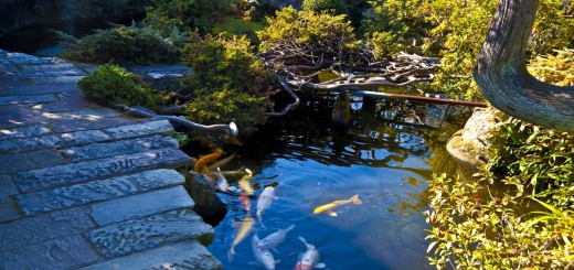 japanese-garden-nagasaki (1)