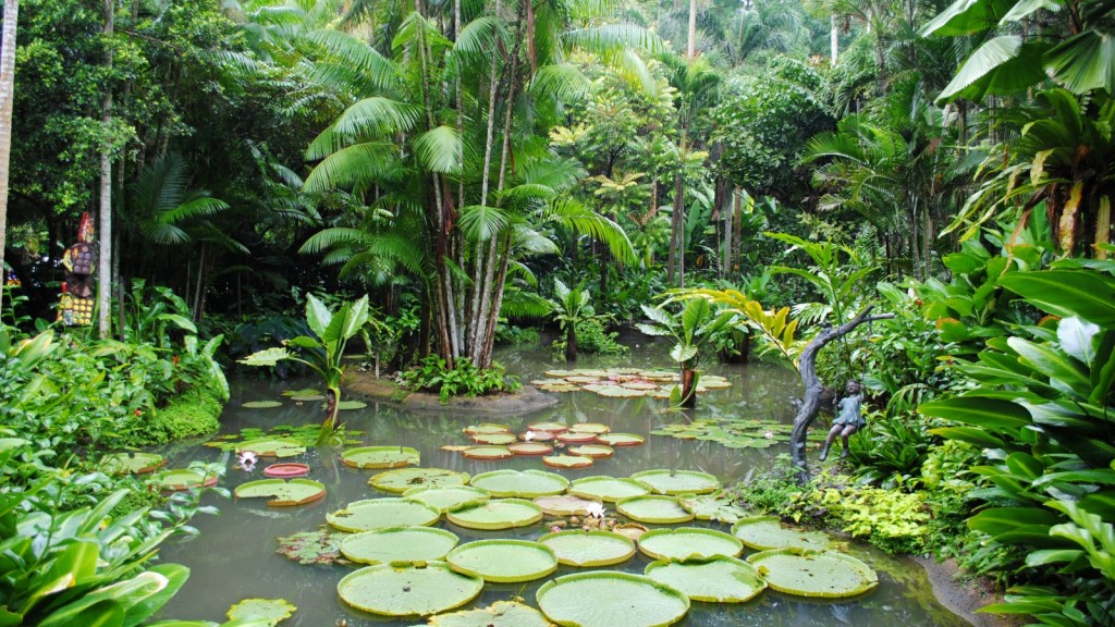 singapur-botanic-gardens-sad-3329