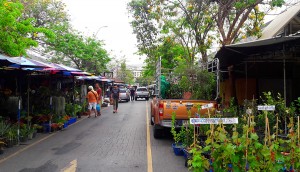 chatuchak-004