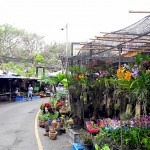 chatuchak-005