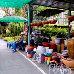 ตลาดต้นไม้ริมถนนเลียบทางด่วนเอกมัย-รามอินทรา-0005