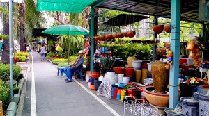 ตลาดต้นไม้ริมถนนเลียบทางด่วนเอกมัย-รามอินทรา-0005