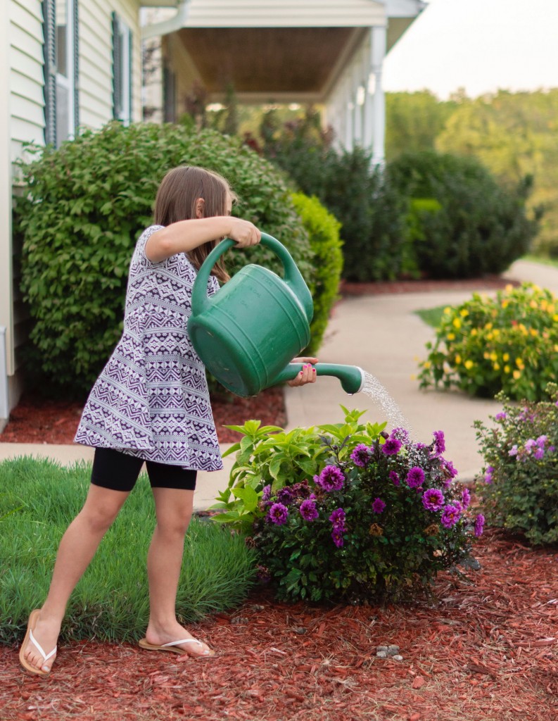 active-active-child-backyard-1322966