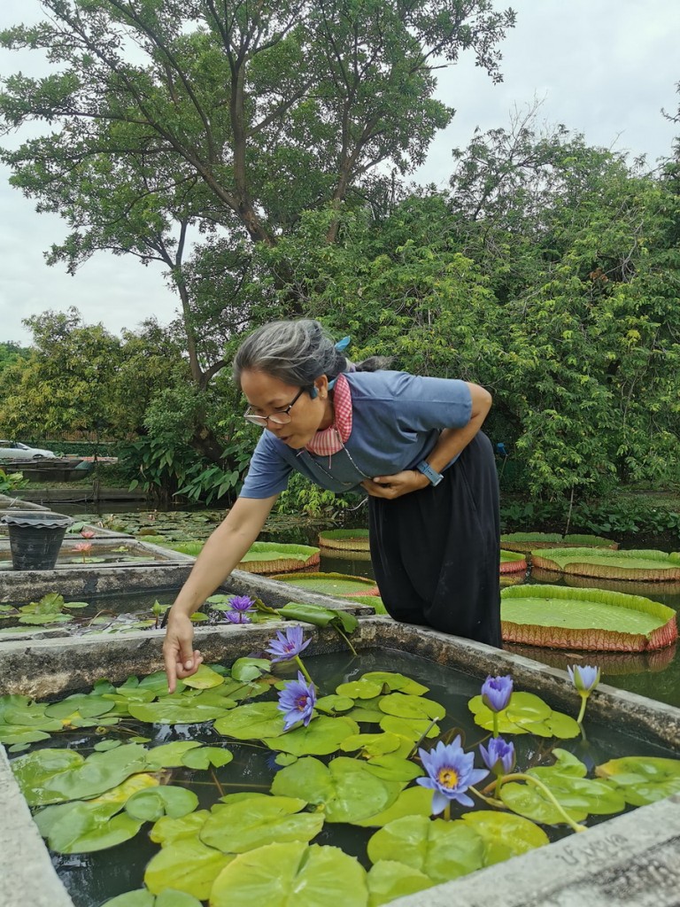  อาจารย์พราว หรือ น.ต.หญิงปริมลาภ (วสุวัต) ชูเกียรติมั่น สถาปนิกและนักวิชาการผู้เชี่ยวชาญเรื่องบัวแห่ง ‘ปางอุบล’ 